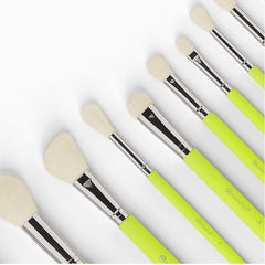 BH Cosmetics - Color Festival 12/Piece Brush Set With Brush Holder
