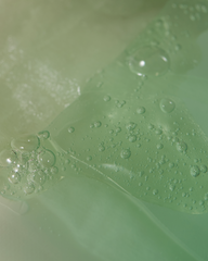 AXIS-Y Mugwort Green Vital Energy Complex Gel Sheet Mask 27Ml×5/Pcs Box