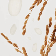 Beauty of Joseon Glow Deep Serum : Rice + Alpha-Arbutin 30ml