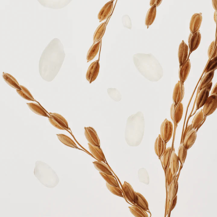 Beauty of Joseon Glow Replenishing Rice Milk 150ml