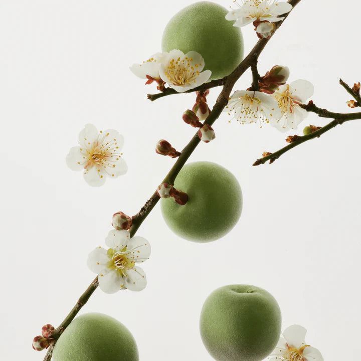 Beauty of Joseon Green Plum Refreshing Toner : AHA + BHA 150ml