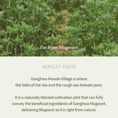 I'm from Mugwort Gel Cleanser 150ml