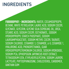 CeraVe Hydrating Body Wash 296 ML