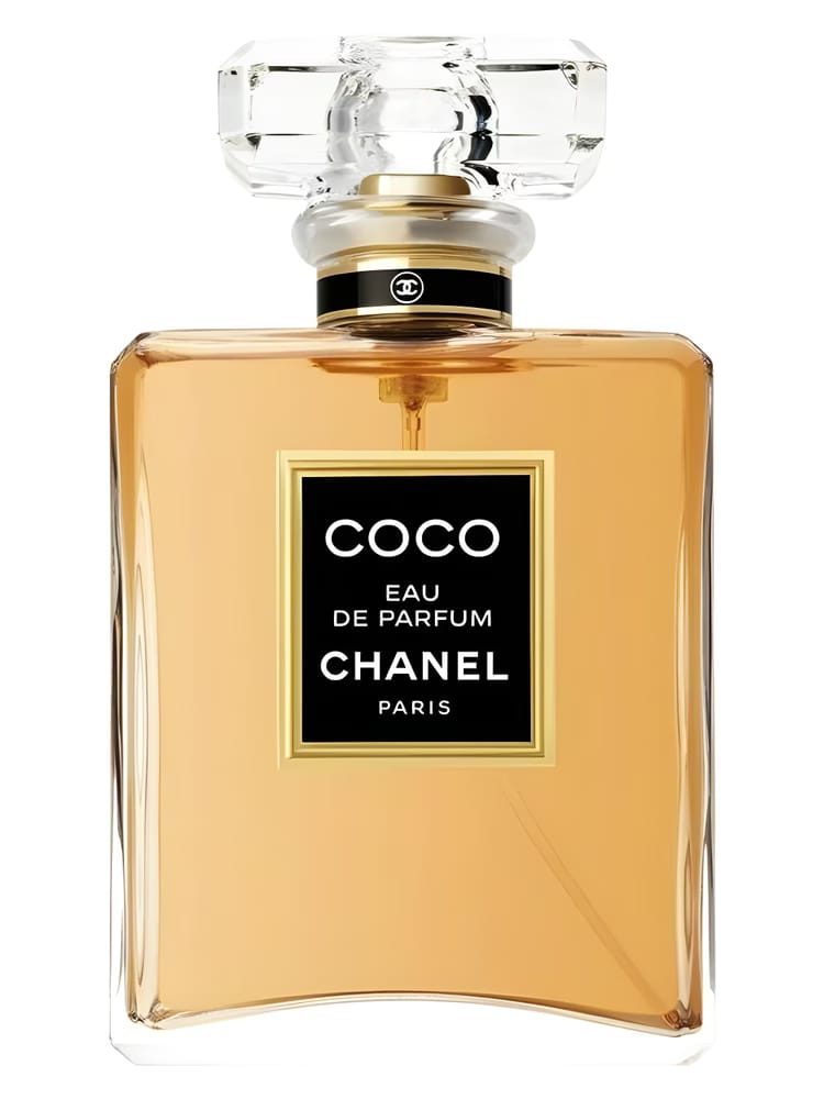 Chanel Coco Eau De Parfum 100ml | France | Fragrance For Women