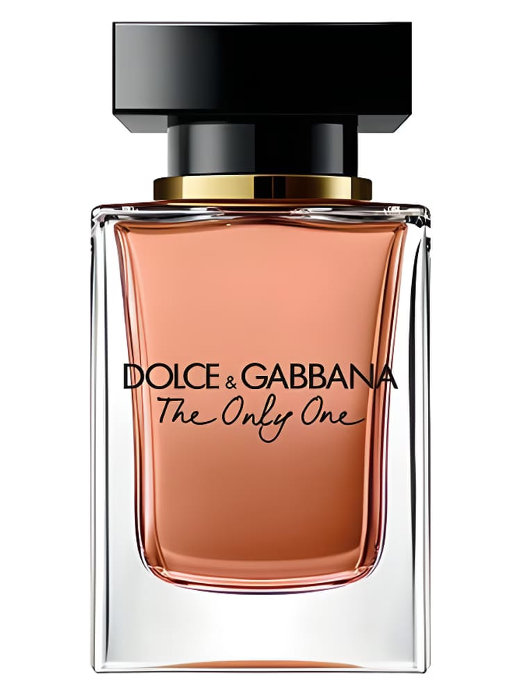 Dolce & Gabbana The Only One EDP 100ml