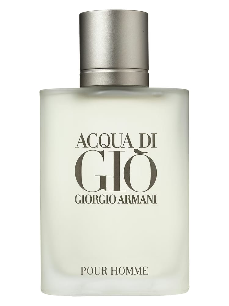 Giorgio Armani Acqua Di Gio Eau de Toilette Pour Homme 100ml