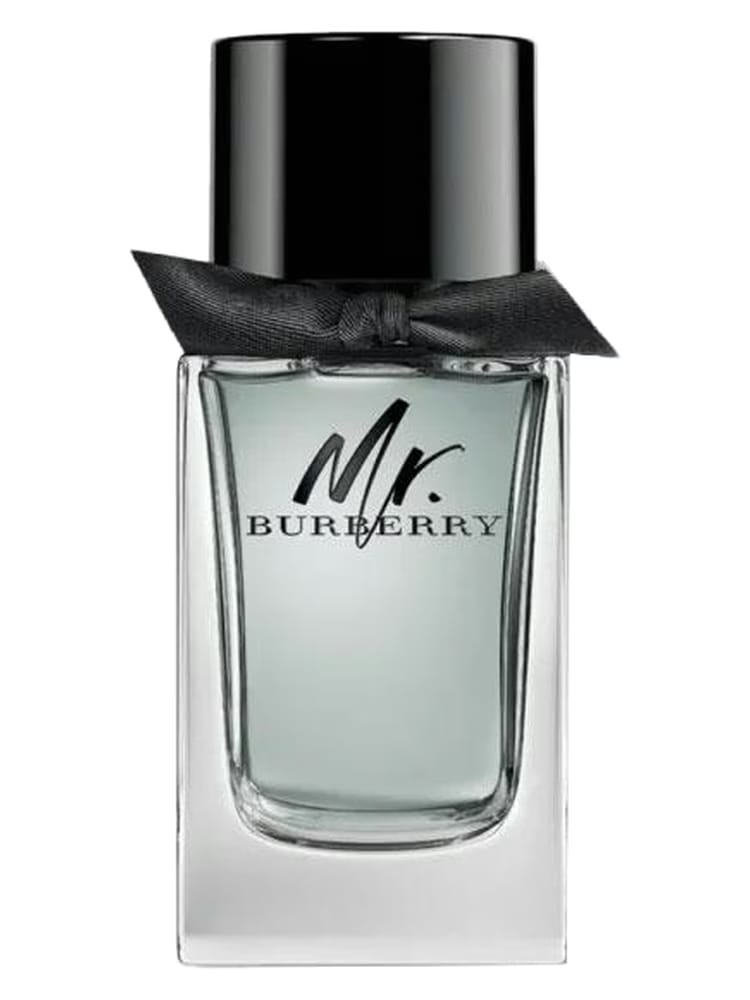 Mr. Burberry by Burberry 100ml EDT for Men