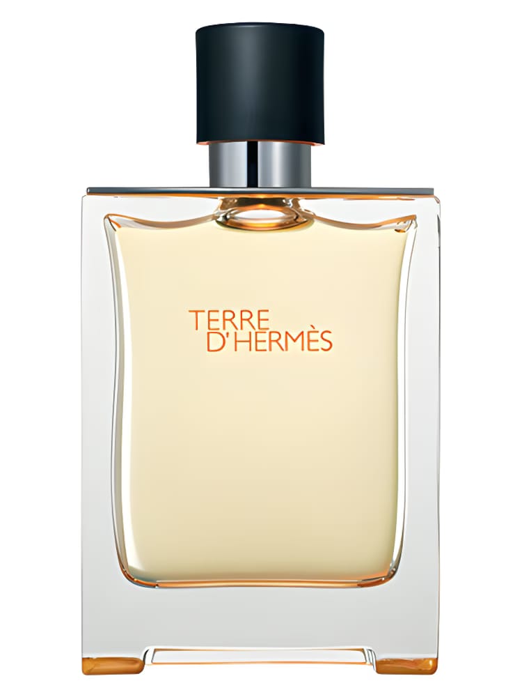 Terre D’hermes For Men Parfum By Hermes EDP - 100ml
