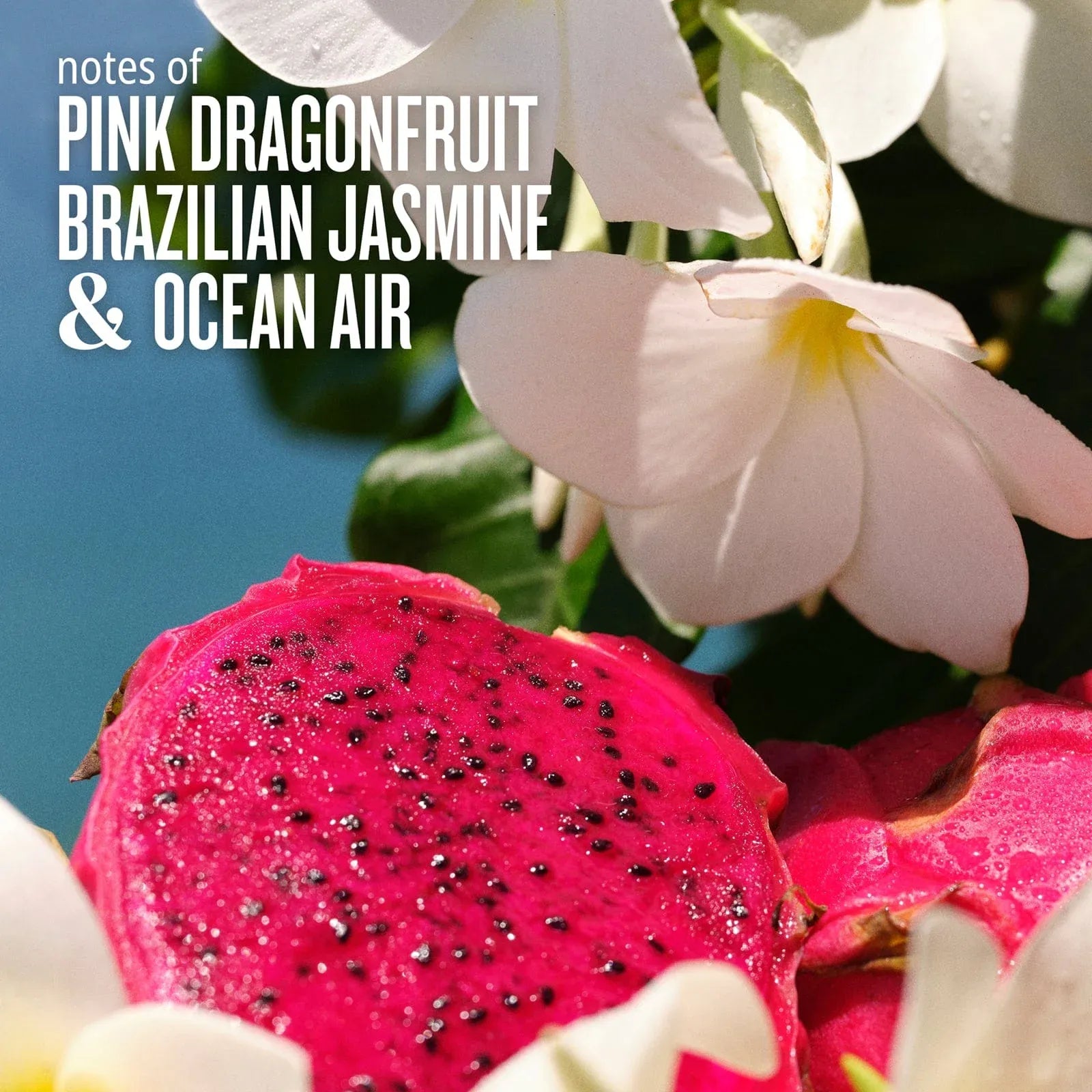 SOL DE JANEIRO Beija Flor™ Duo 2in1 Set | Online Exclusive