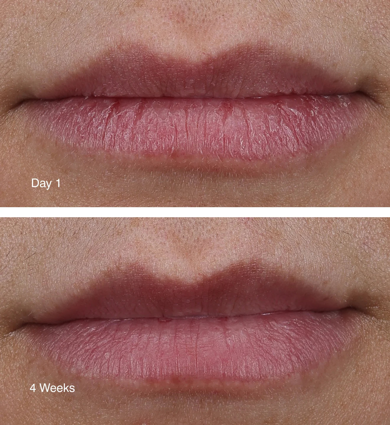 RHODE Peptide Lip Tint ( SHADE : Page vine )