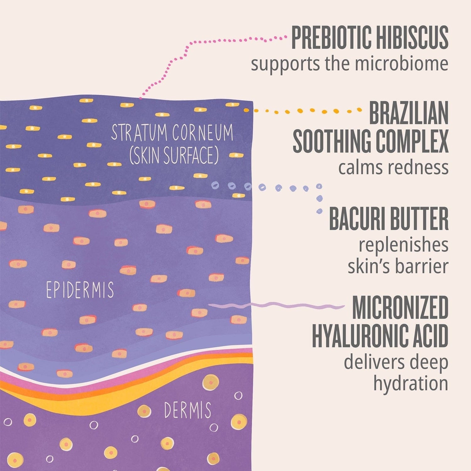 SOL DE JANEIRO Delícia Drench™ Body Butter 240ml