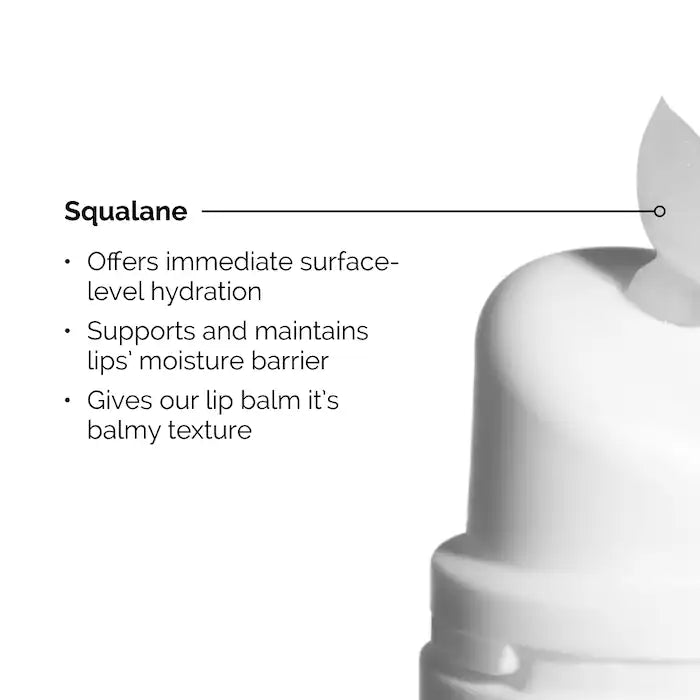 The Ordinary Squalane + Amino Acids Lip Balm 15ml